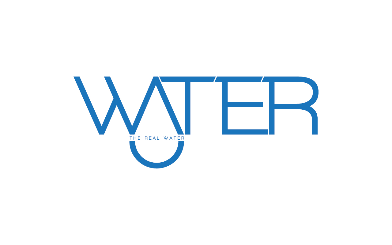 Egyptian Saudi Arabian company